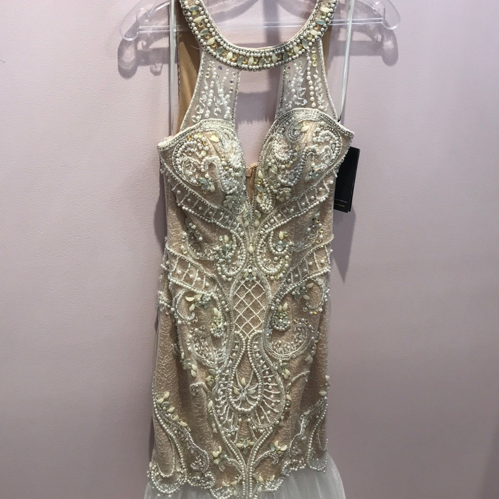 Terani Mermaid Prom Gown
